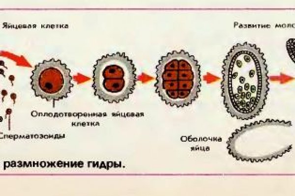 Какая ссылка у кракена