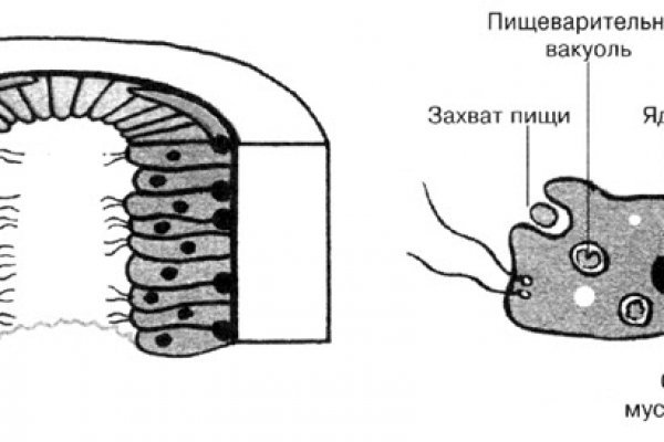 Регистрация на кракен